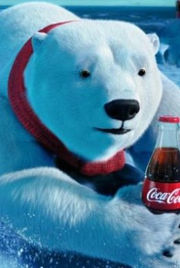 Les Ours Coca-Cola, le film (2012)