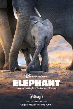 Elephant (2020)